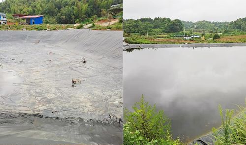 Latest company case about Fish pond anti-seepage project