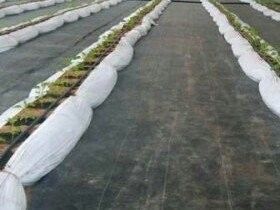 PET Drainage Geotextile Fabric For Weeding And Water Retention