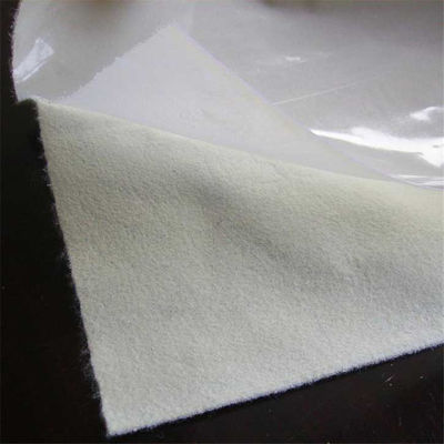 One Cloth One Membrane Compound Geomembrane For Anti Seepage And Reinforcement