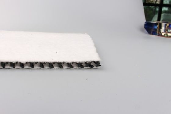 Excellent UV Resistance Effective Drainage Geonet for Slope Protection in Hydraulic Engineering
