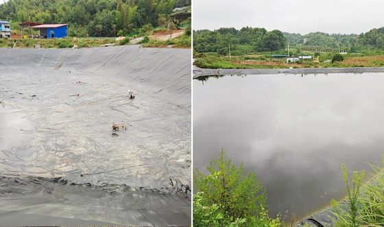High-Performance HDPE Smooth Geomembrane for Aquaculture and Fish Farming