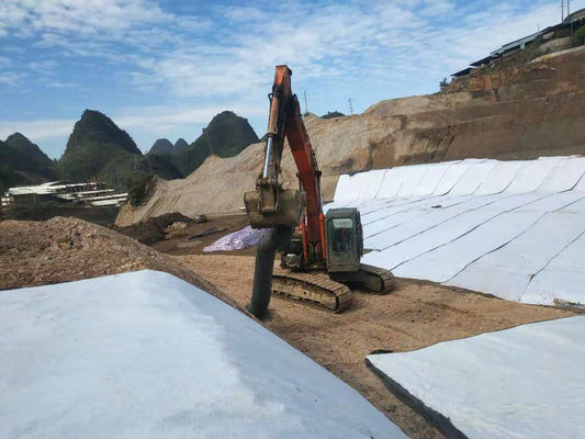 Self-Sealing Sodium Bentonite Waterproof Blanket with 4-6m Width and ≥24ml/2g Swelling Index for Reliable Waterproofing