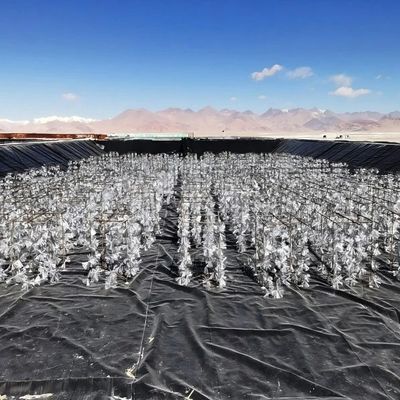 Acid And Alkali Resistant, Tear Resistant HDPE Smooth Geomembrane For Anti Seepage Engineering Project