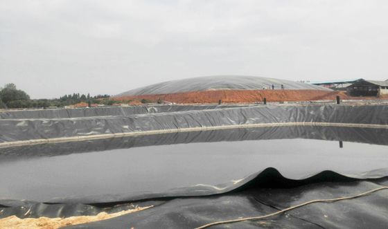 Anti-seepage HDPE Smooth Geomembrane  For Agriculture Project Fish Pond Liners Width 1m-9m Length 30-100m Thickness>0.5mm
