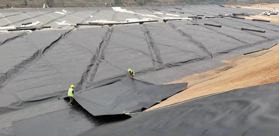 Excellent Chemical Resistance HDPE Smooth Geomembrane for Tailings Management 