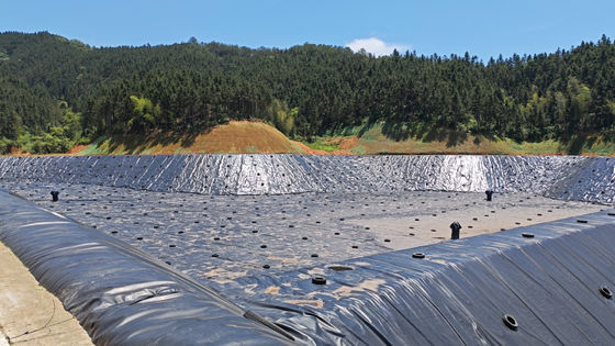 Excellent Chemical Resistance HDPE Geomembrane for Hot Wedge Welding Installation in Gloss Adjustment Pond Projects