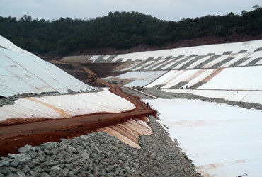 Tri Dimension Composite Geonet 200g/m2 For Drainage And Protection System