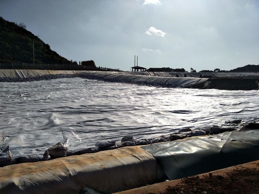 High-Density Polyethylene HDPE Geomembrane Chemical Resistance Leak Prevention for Tailings Storage Facilities
