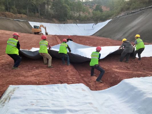 Optimal Drainage 3D Composite Drainage Net Width 2m-6m Tensile Strength ≥16kN/m for Surface Subsurface Water Management