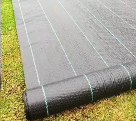 Excellent Filtration and Drainage Black Polypropylene Woven Geotextile