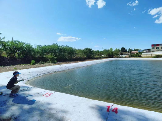 Aqua-Safe™ Non-Toxic Geomembrane Liner with Excellent Seepage Control and Superior Durability for Aquaculture