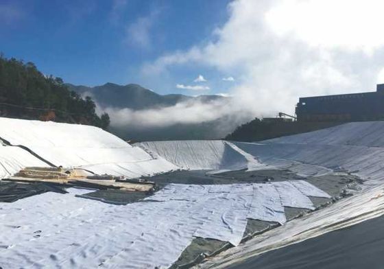 Eco-Friendly Non-Toxic Durable Geosynthetic Clay Liner for Water Conservancy and Landscape Projects