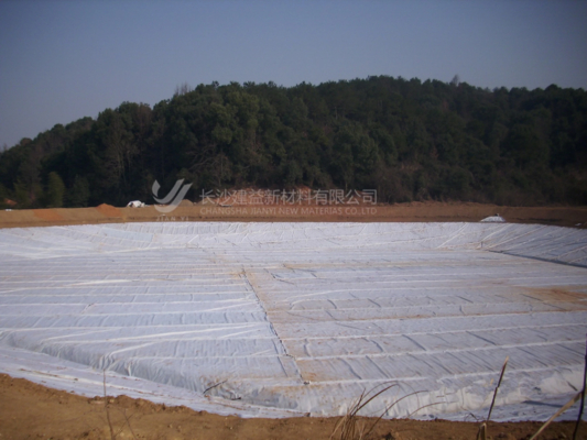 Short-Fiber Geotextile: The Cost-Effective & Versatile Engineering Solution