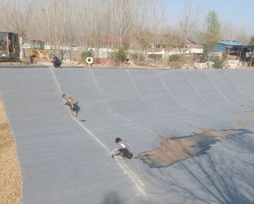 Concrete Blanket Cement Blanket with 4m Width 20m-50m Length and 6kg-25kg/㎡ Specification for Rapid Installation